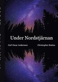 Under Nordstjrnan