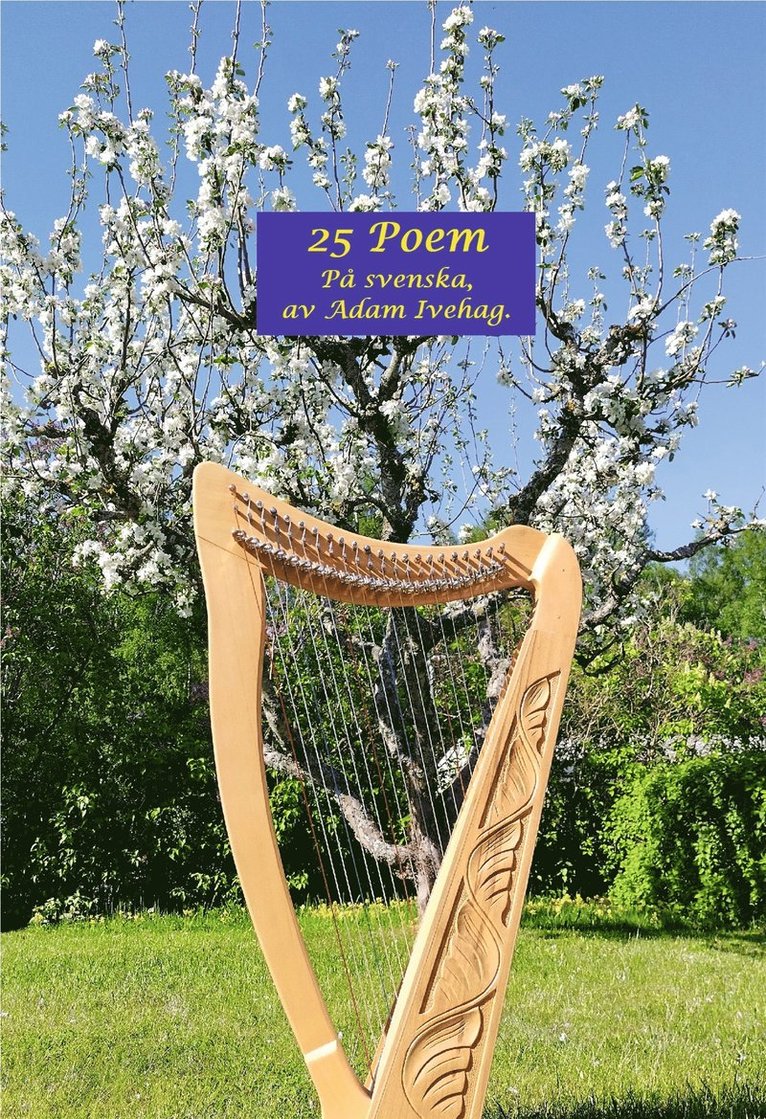 Adam Ivehag - 25 Poem: På Svenska, av Adam Ivehag., E-bok
