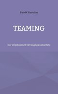 Teaming: hur vi lyckas med vrt dagliga samarbete