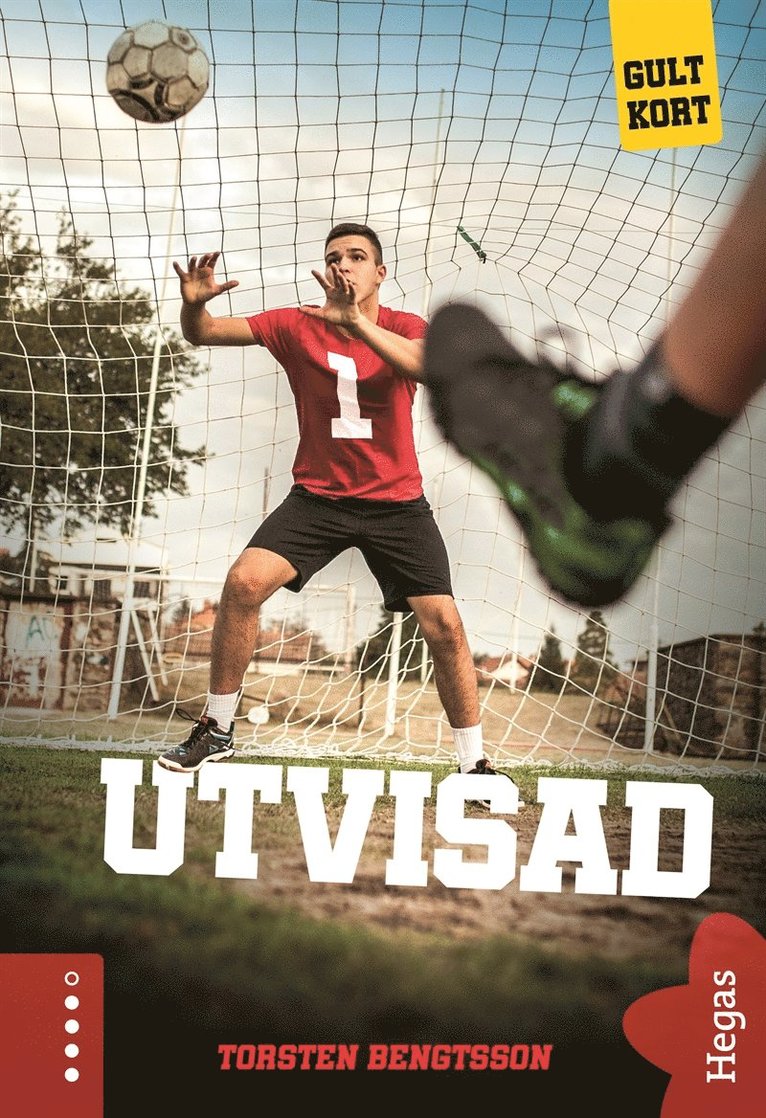 Torsten Bengtsson - Utvisad, E-bok