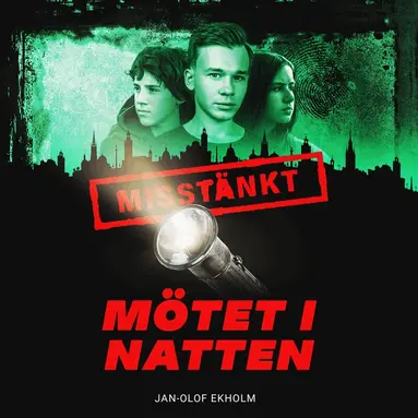 Jan-Olof Ekholm - Mötet i natten, Ljudbok