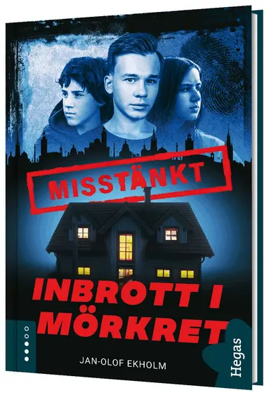 Jan-Olof Ekholm - Inbrott i mörkret, Inbunden