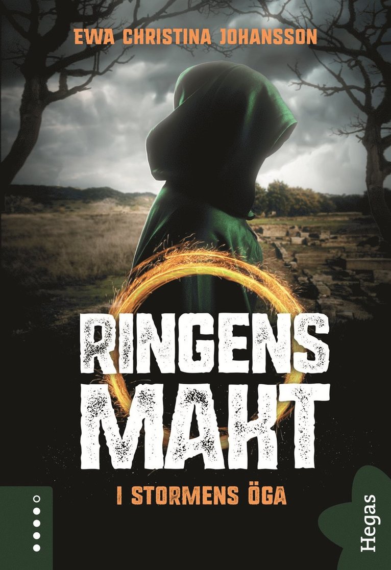 Ewa Christina Johansson - I stormens öga, E-bok
