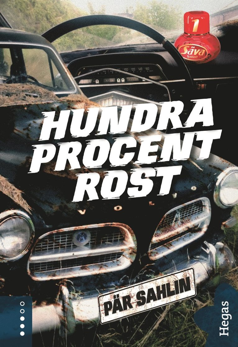 Pär Sahlin - Hundra procent rost, E-bok