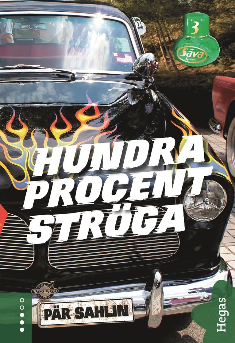 Pär Sahlin - Hundra procent ströga, E-bok