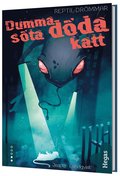 Dumma sta dda katt