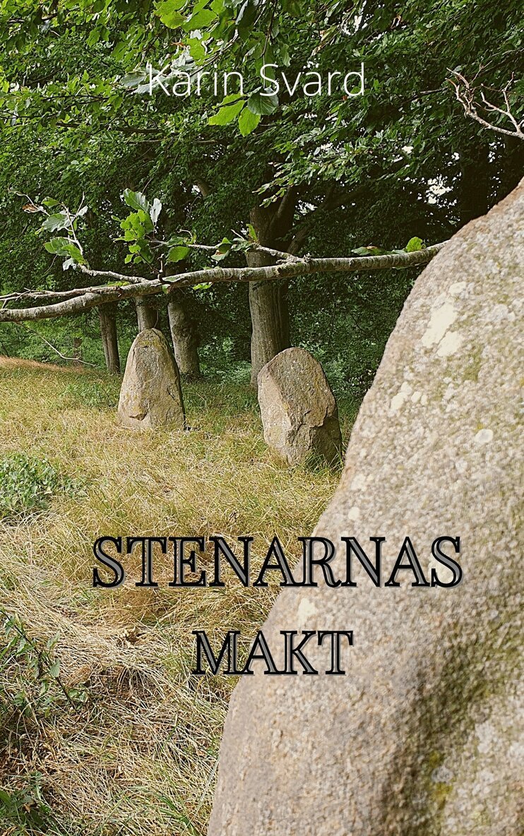 Karin Svärd - Stenarnas makt, E-bok