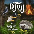 Djojj och majelden