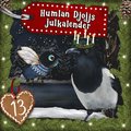 Humlan Djojjs Julkalender (Avsnitt 13)