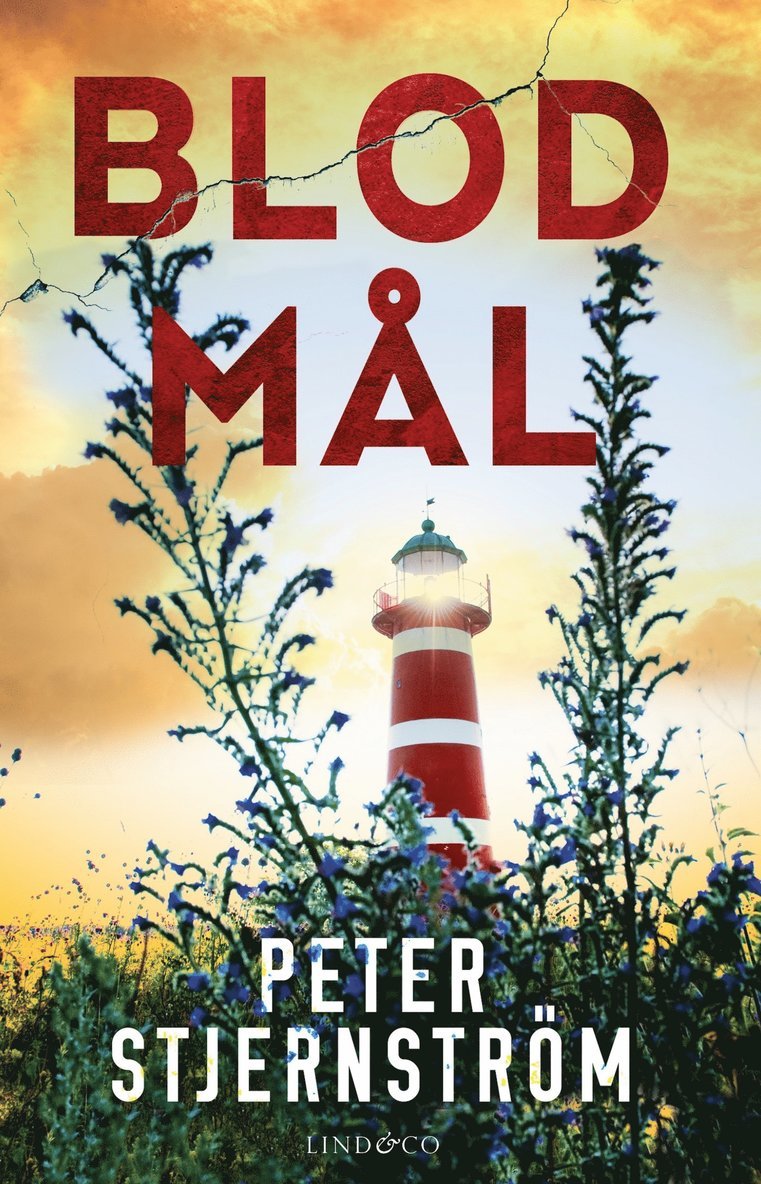 Peter Stjernström - Blodmål, E-bok