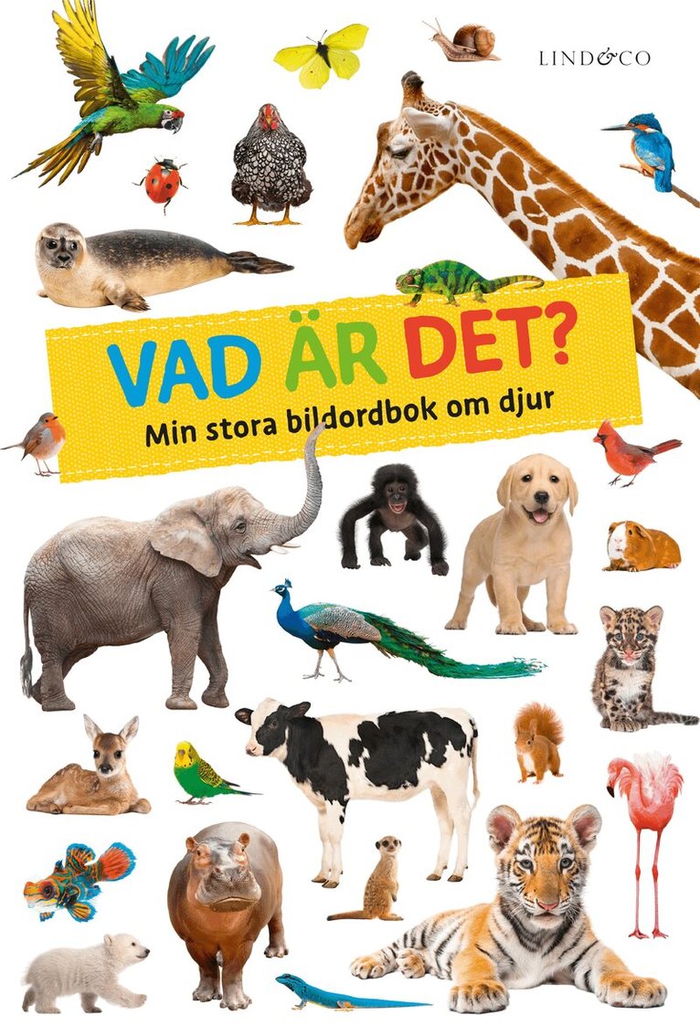 Fischer Verlag - Vad är det? : min stora bildordbok om djur, Kartonnage