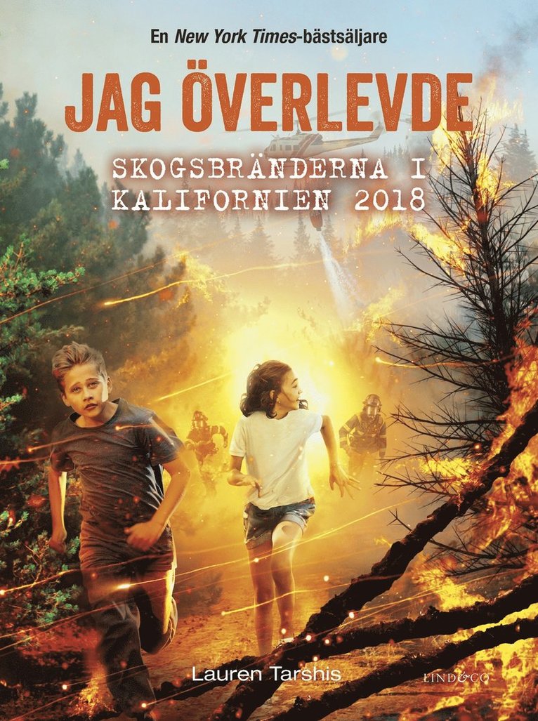 Lauren Tarshis - Jag överlevde skogsbränderna i Kalifornien 2018, E-bok