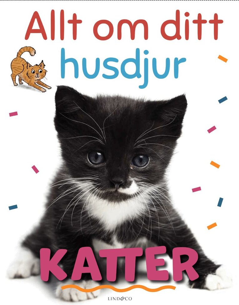 Katie Woolley - Allt om ditt husdjur. Katter, Inbunden