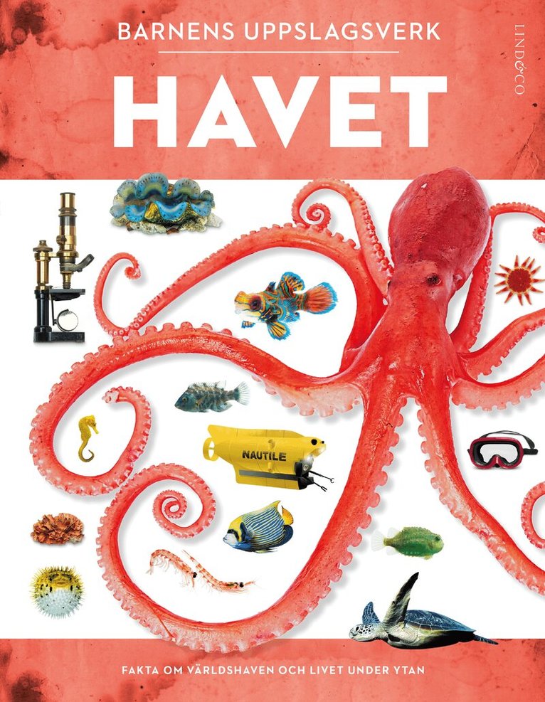 Miranda Macquitty - Barnens uppslagsverk. Havet, Kartonnage