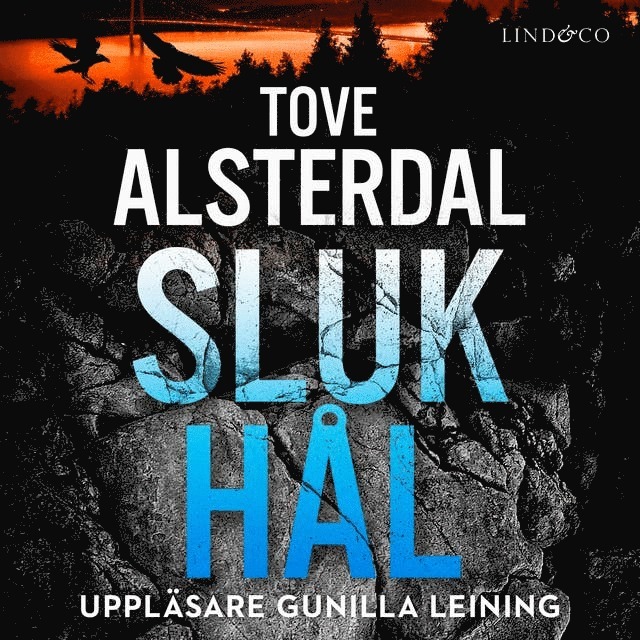 Tove Alsterdal - Slukhål, Ljudbok
