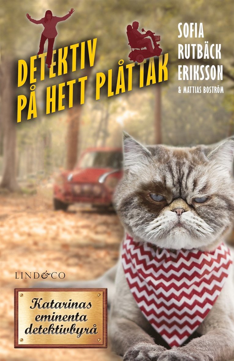 Mattias Boström, Sofia Rutbäck Eriksson - Detektiv på hett plåttak, E-bok