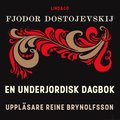 En underjordisk dagbok