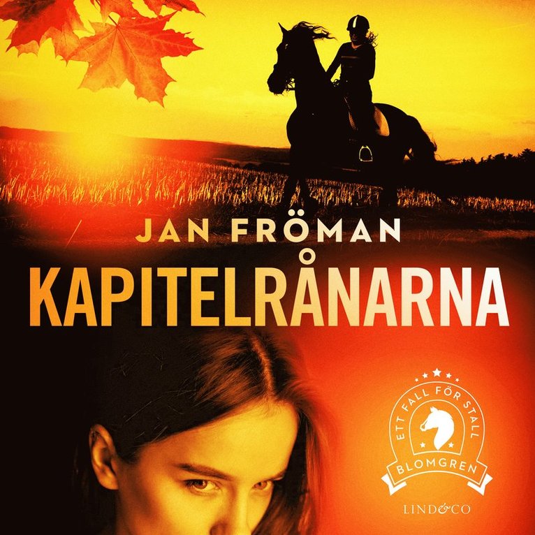 Jan Fröman - Kapitelrånarna, Ljudbok