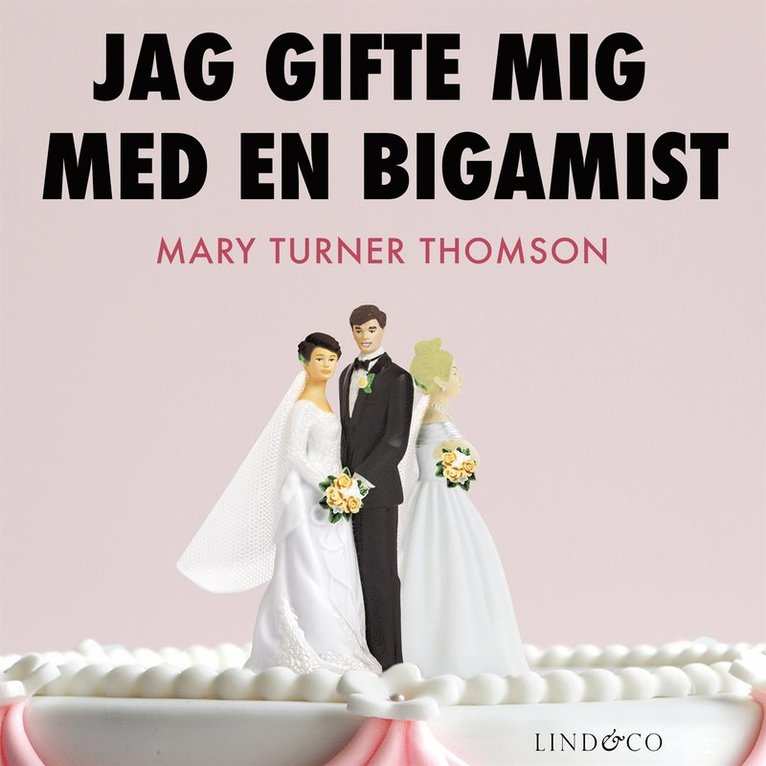 Mary Turner Thomson - Jag gifte mig med en bigamist, Ljudbok