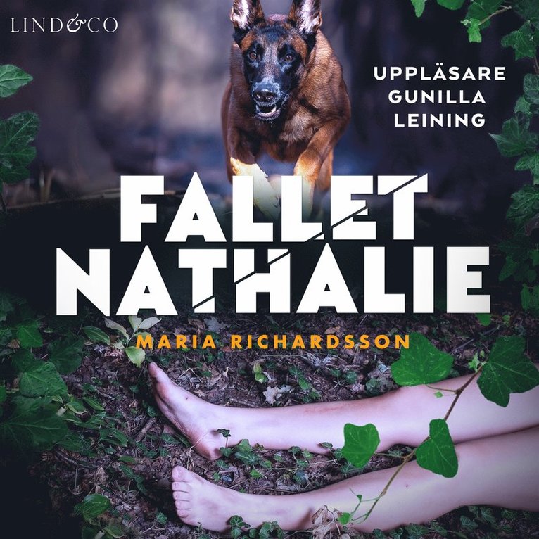 Maria Richardsson - Fallet Nathalie, Ljudbok