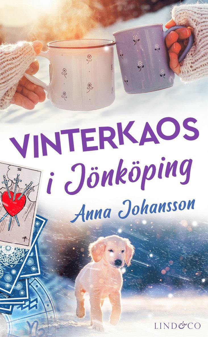 Anna Johansson - Vinterkaos i Jönköping, E-bok