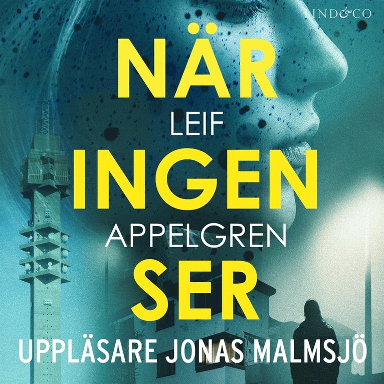 Leif Appelgren - När ingen ser, Ljudbok