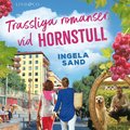 Trassliga romanser vid Hornstull 