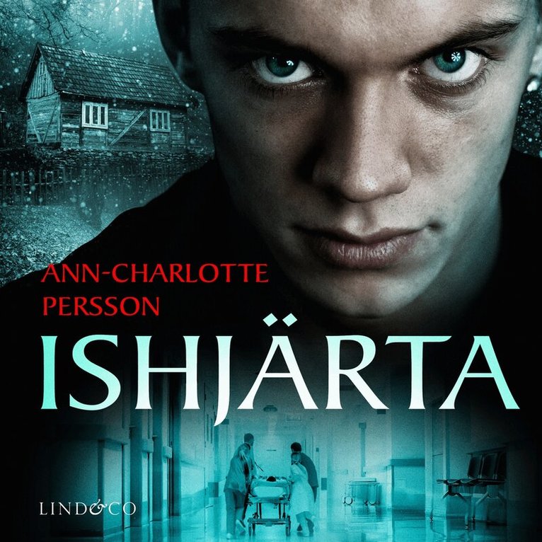 Ann-Charlotte Persson - Ishjärta, Ljudbok