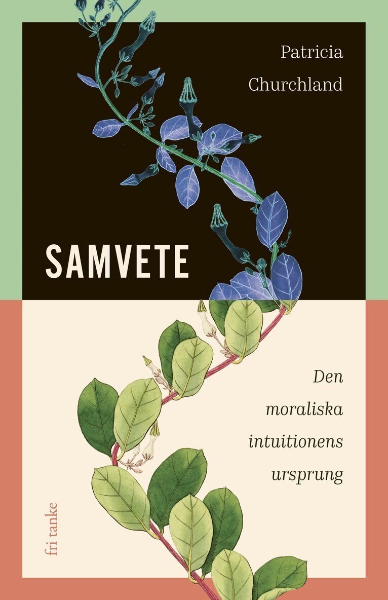 Patricia Churchland - Samvete : Den moraliska intuitionens ursprung, E-bok