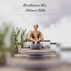Heidi Hallifax - Mindfulness Mix, E-bok