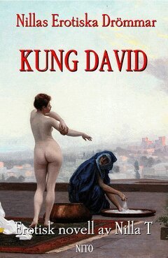 Nilla T - Kung David - Erotik, E-bok. Tillgänglighet: Lägg i varukorg