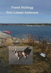 Fransk Bulldogg : konversation hund till människa