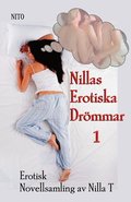 Nillas Erotiska Drömmar 1