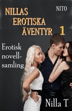 Nilla T - Nillas Erotiska Äventyr 1, E-bok