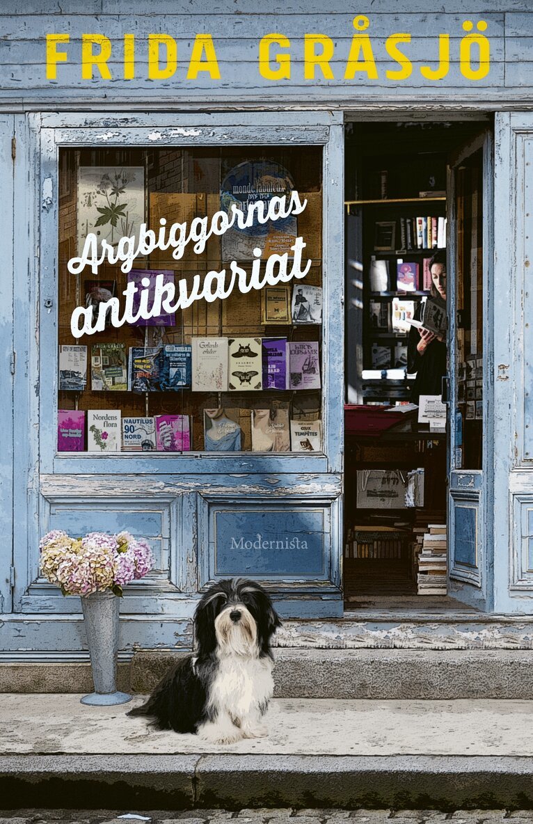 Frida Gråsjö - Argbiggornas antikvariat, E-bok