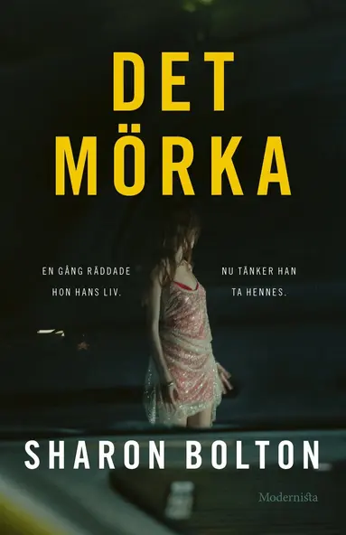 Sharon Bolton - Det mörka, E-bok
