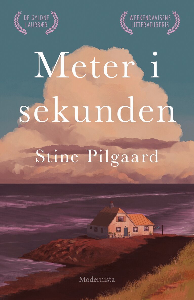 Stine Pilgaard - Meter i sekunden, E-bok