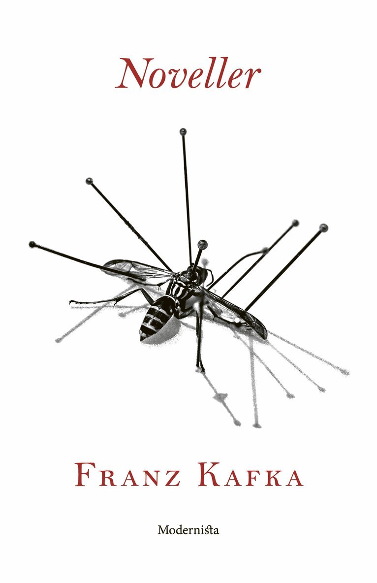 Franz Kafka - Noveller, E-bok
