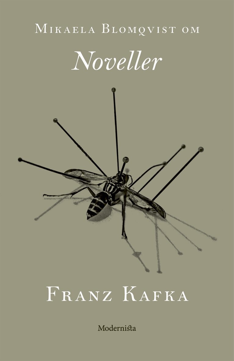 Mikaela Blomqvist - Om Noveller av Franz Kafka, E-bok