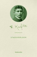Stadsvärlden