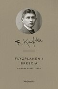 Flygplanen i Brescia och andra berättelser