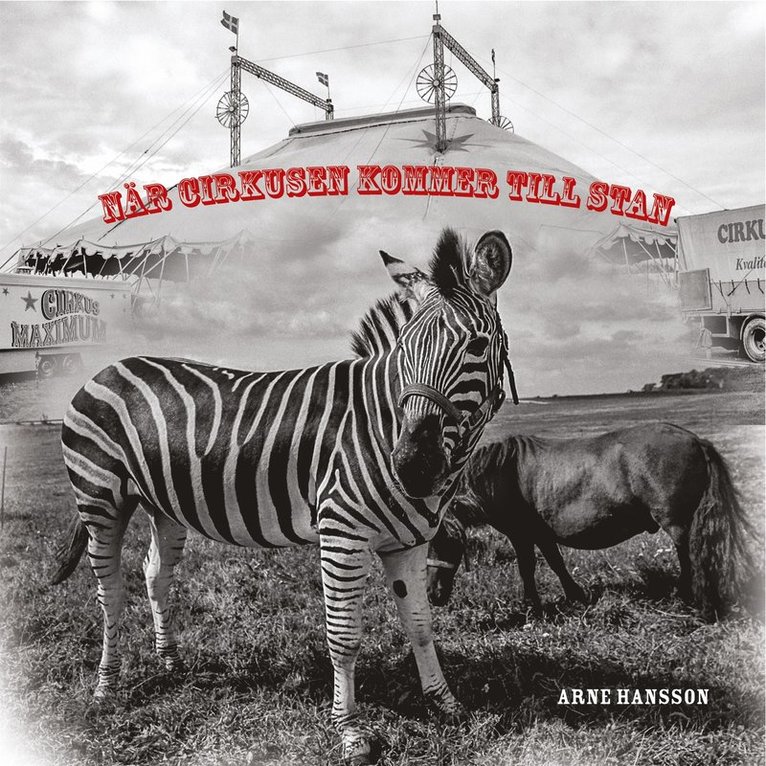 Arne Hansson - När cirkusen kommer till stan, E-bok