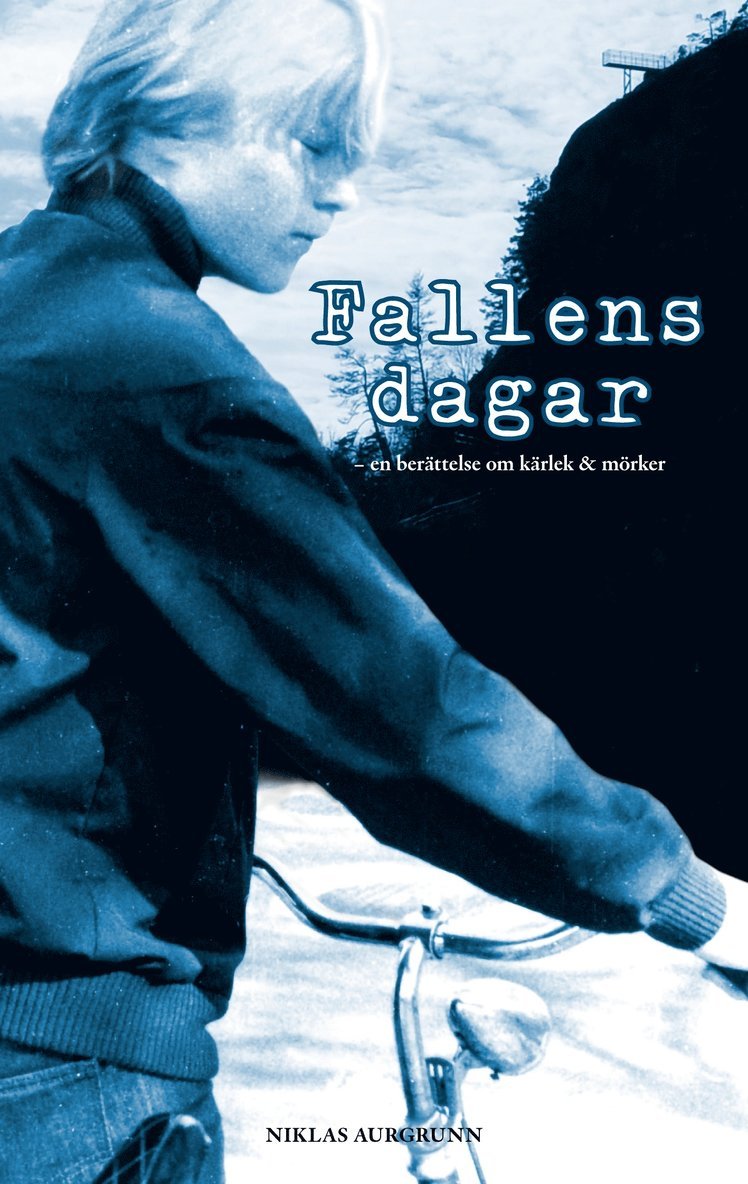 Niklas Aurgrunn - Fallens dagar, E-bok