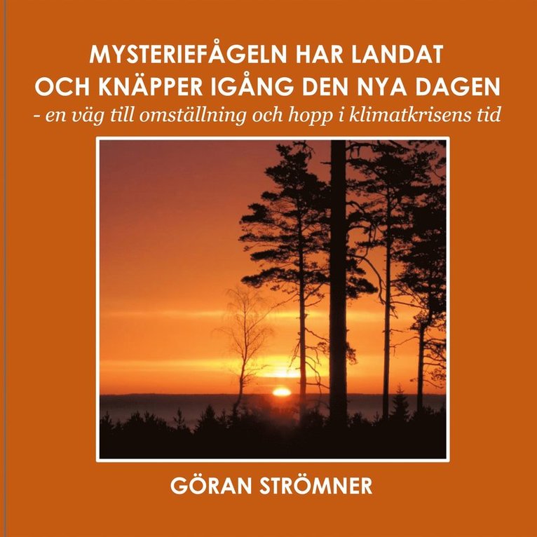 Göran Strömner - Mysteriefågeln har landat och knäpper igång den nya dagen: - en väg till omställning och hopp i klimatkrisens tid, E-bok