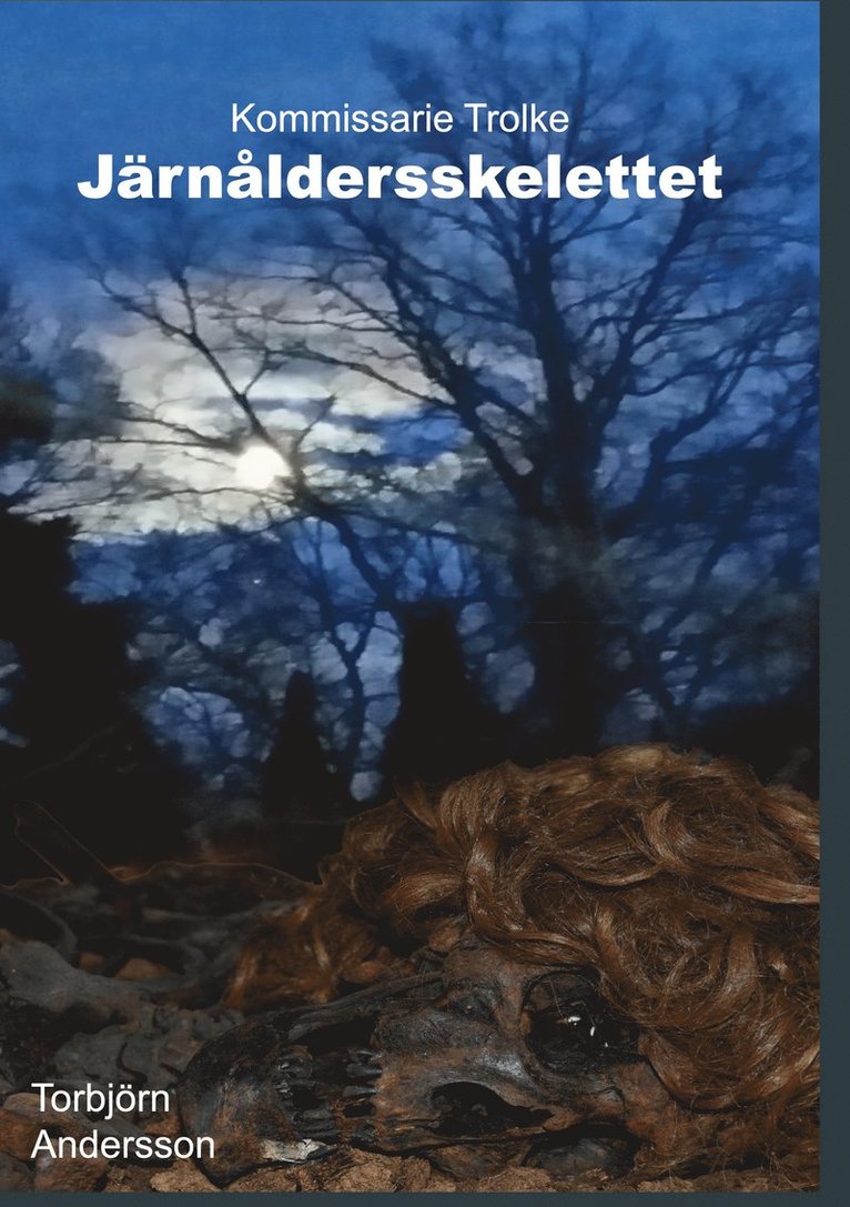 Torbjörn Andersson - Järnåldersskelettet, E-bok