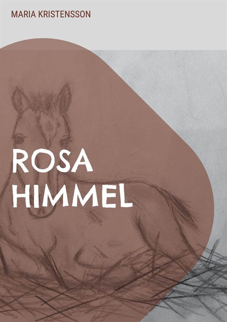 Maria Kristensson - Rosa Himmel: En berättelse om en pojkes hjälteinsats, E-bok