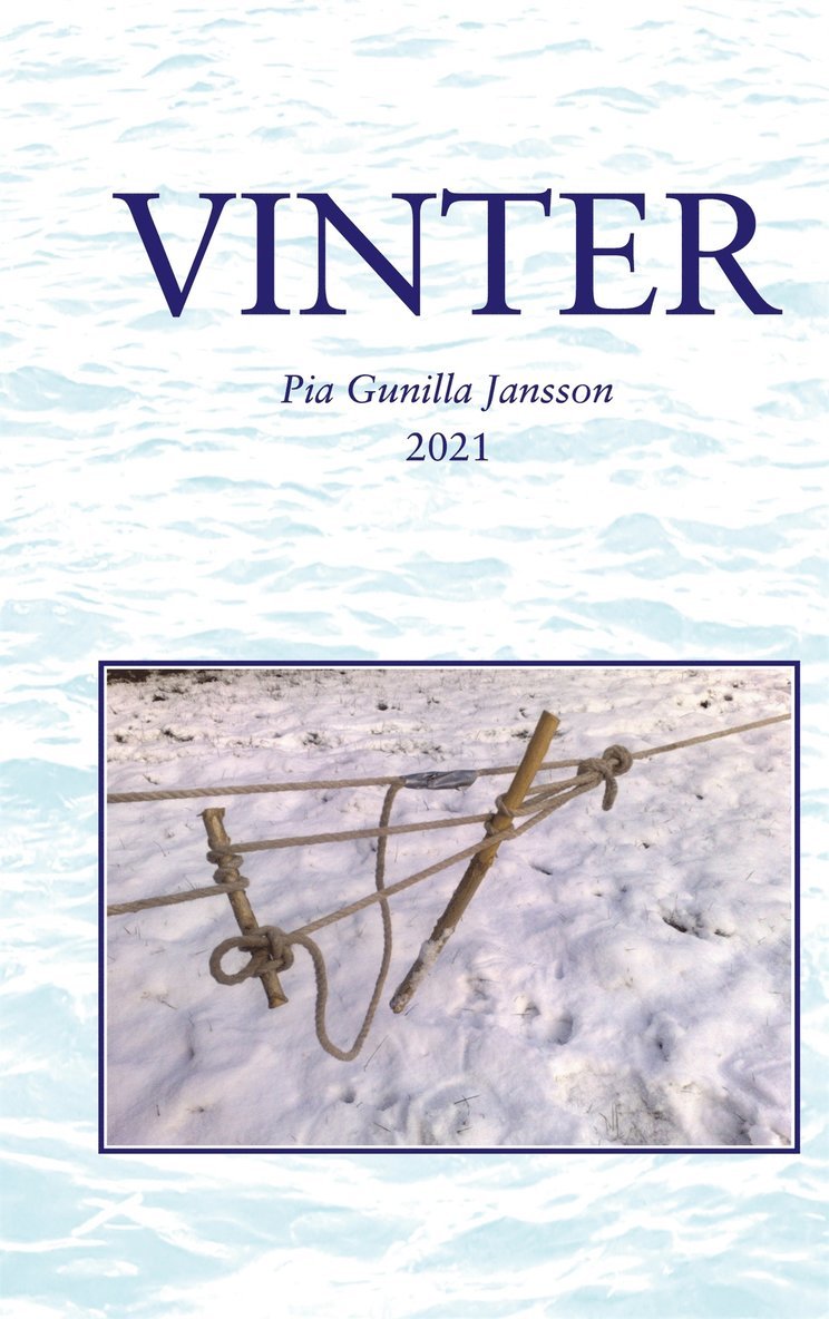 Pia Gunilla Jansson - Vinter: I mörker och kyla på de oändliga isvidderna, E-bok