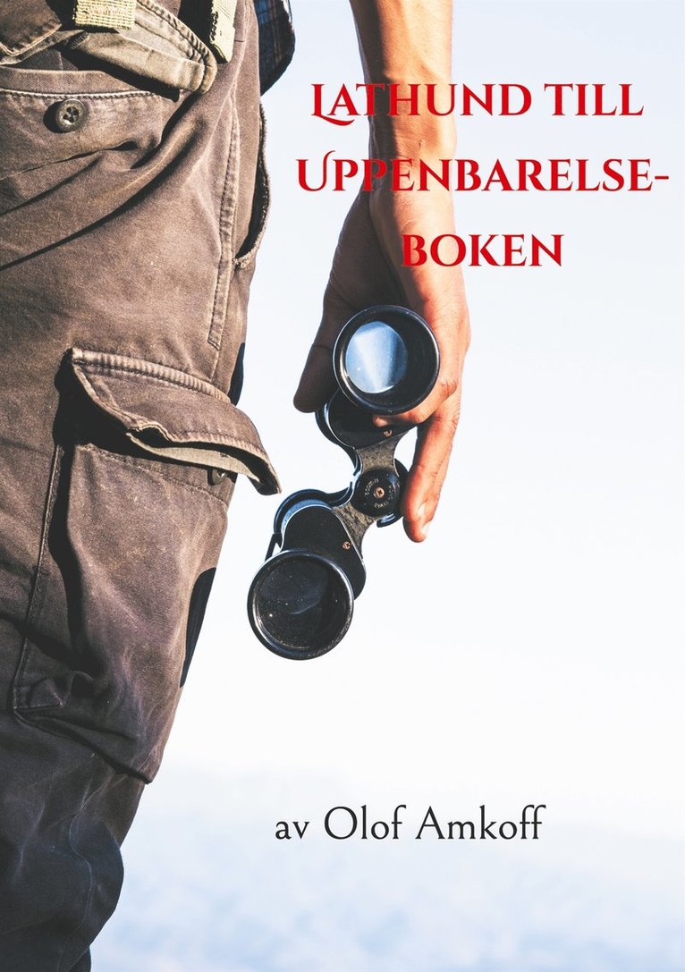 Olof Amkoff - Lathund till Uppenbarelseboken, E-bok