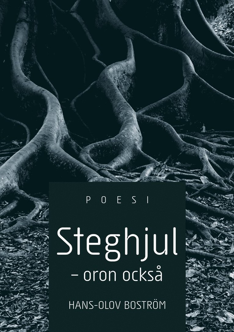 Hans-Olov Boström - Steghjul - Oron också, E-bok