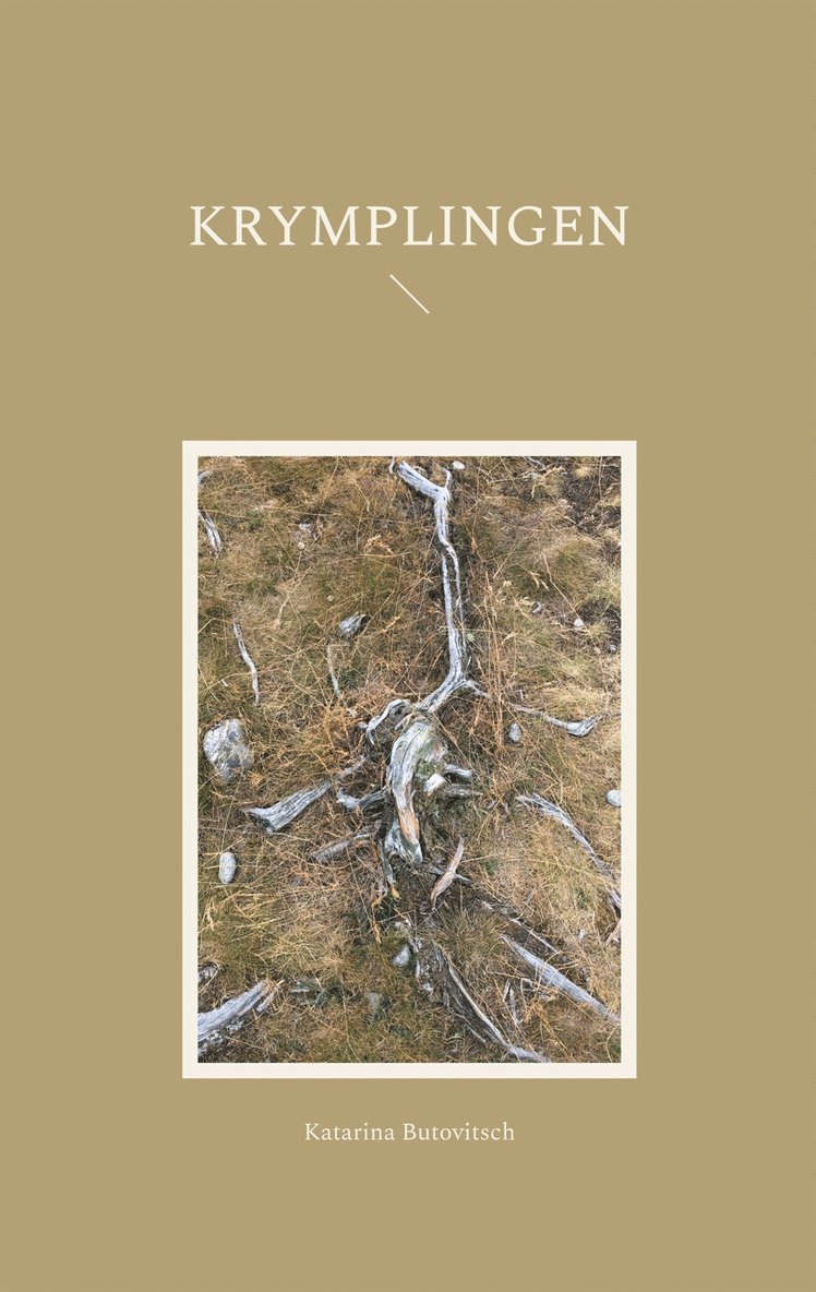 Katarina Butovitsch - Krymplingen, E-bok